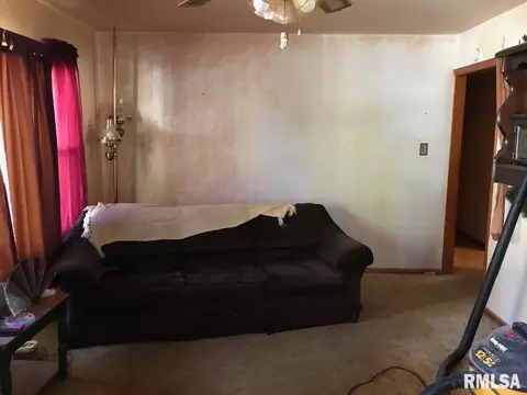 207 Van Buren St, Gorham, IL 62940 photo 3
