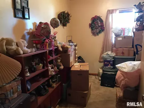 207 Van Buren St, Gorham, IL 62940 photo 15