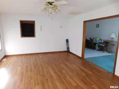 8009 Green Rd, Iuka, IL 62849 photo 9