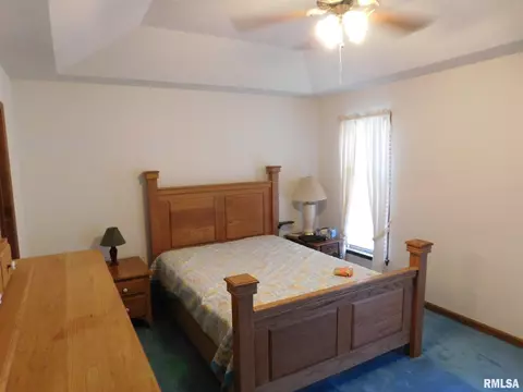8009 Green Rd, Iuka, IL 62849 photo 16