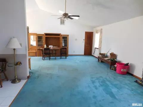 8009 Green Rd, Iuka, IL 62849 photo 10