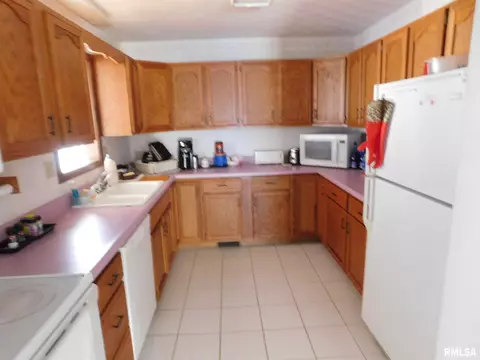 8009 Green Rd, Iuka, IL 62849 photo 12