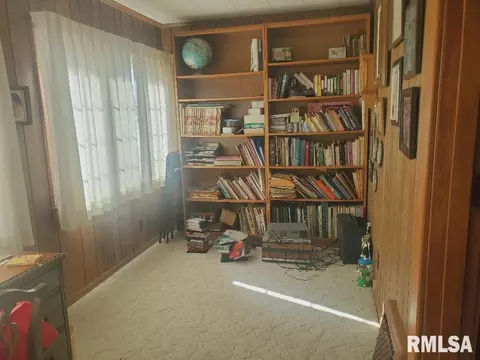 2903 Park Avenue Ct, Cairo, IL 62914 photo 19