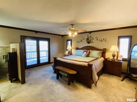 3895 Boyd Rd, Anna, IL 62906 photo 25