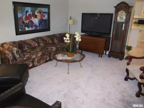 111 Evergreen Dr, Anna, IL 62906 photo 6