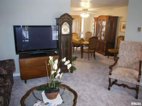 111 Evergreen Dr, Anna, IL 62906 photo 7