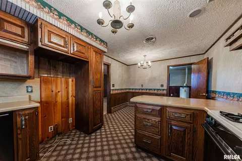 520 Old Broughton Rd, Eldorado, IL 62930 photo 27