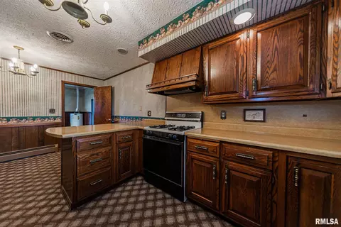 520 Old Broughton Rd, Eldorado, IL 62930 photo 26