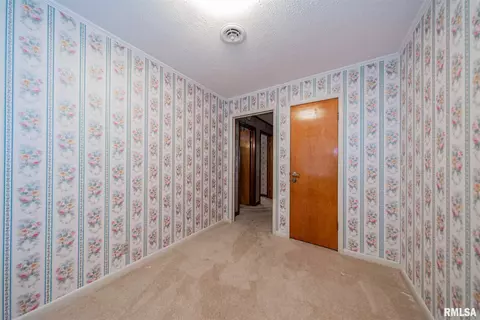 520 Old Broughton Rd, Eldorado, IL 62930 photo 20