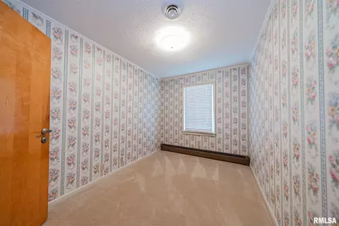 520 Old Broughton Rd, Eldorado, IL 62930 photo 19