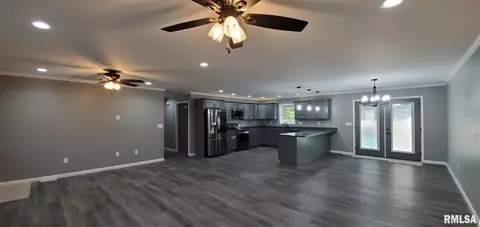 1009 Trolley St, Eldorado, IL 62930 photo 11