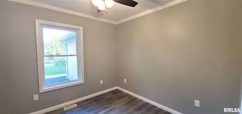 1009 Trolley St, Eldorado, IL 62930 photo 25