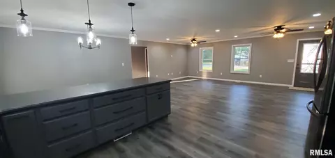 1009 Trolley St, Eldorado, IL 62930 photo 15