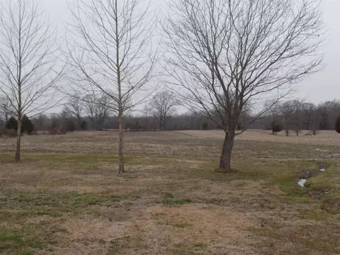 9693 Bethleham Ln, Marion, IL 62959 photo 7
