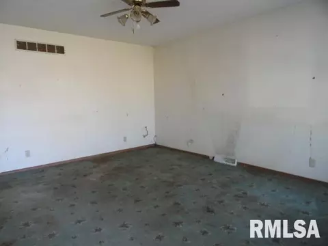 18 Edgebrook Ln, Centralia, IL 62801 photo 10