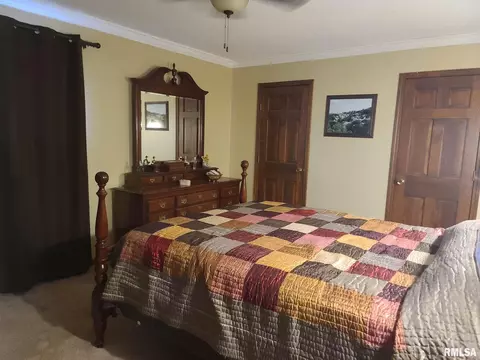 2508 1st St, Eldorado, IL 62930 photo 15
