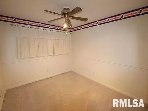 1024 E Calumet St, Centralia, IL 62801 photo 25