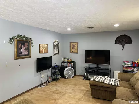 14755 E Bakerville Rd, Mount Vernon, IL 62864 photo 4