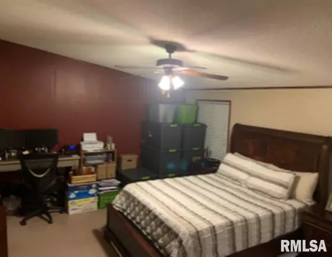 9908 E Webb Rd, Mount Vernon, IL 62864 photo 8