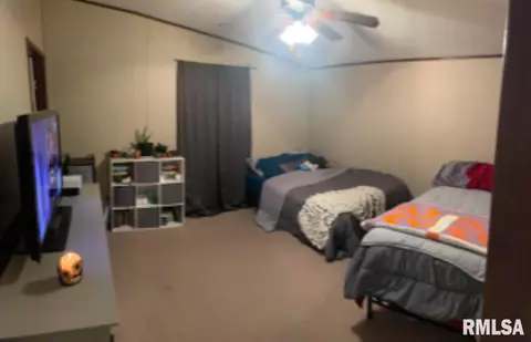 9908 E Webb Rd, Mount Vernon, IL 62864 photo 10