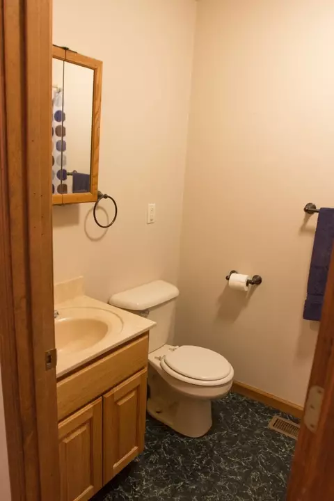 327 Ash St, Cobden, IL 62920 photo 20