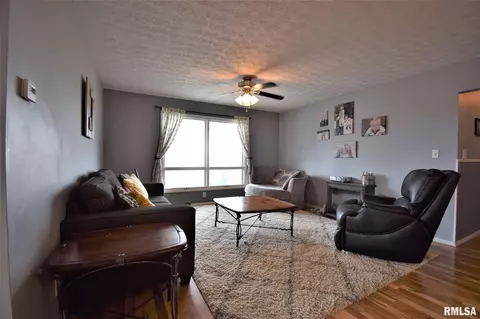 10260 E Richview Rd, Mount Vernon, IL 62864 photo 5