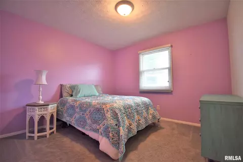 10260 E Richview Rd, Mount Vernon, IL 62864 photo 24