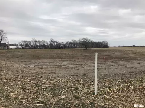 Paul Drive, Baldwin, IL 62217 photo 6