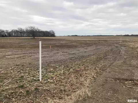 Paul Drive, Baldwin, IL 62217 photo 5