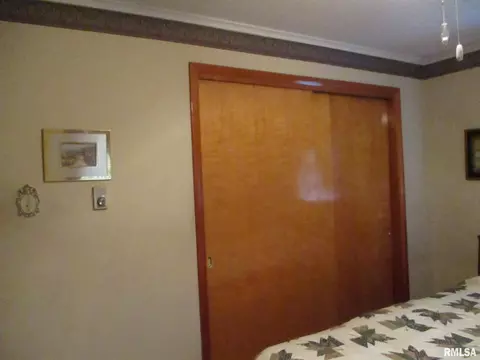 302 S Thomas Sts, Christopher, IL 62822 photo 13