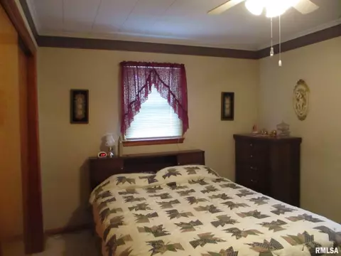 302 S Thomas Sts, Christopher, IL 62822 photo 9