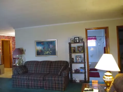 302 S Thomas Sts, Christopher, IL 62822 photo 4