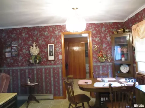 302 S Thomas Sts, Christopher, IL 62822 photo 21