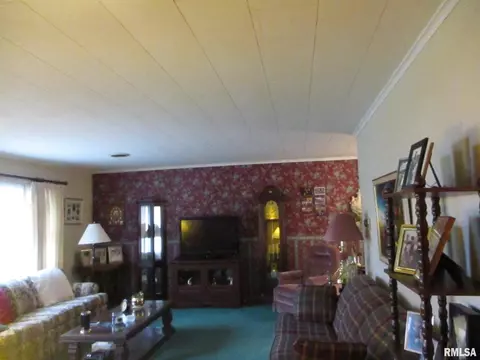 302 S Thomas Sts, Christopher, IL 62822 photo 7