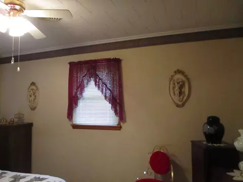 302 S Thomas Sts, Christopher, IL 62822 photo 10