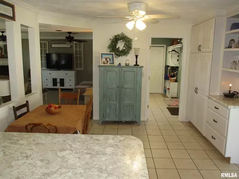 203 E Rea St, Valier, IL 62891 photo 16
