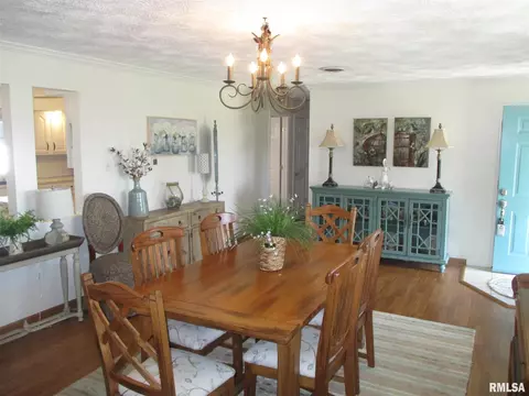 203 E Rea St, Valier, IL 62891 photo 9