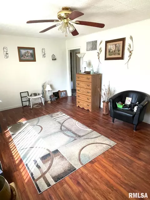 1010 E Noleman St, Centralia, IL 62801 photo 5