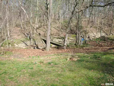 4424 Keller Rd, Iuka, IL 62849 photo 43
