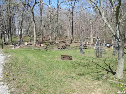 4424 Keller Rd, Iuka, IL 62849 photo 45
