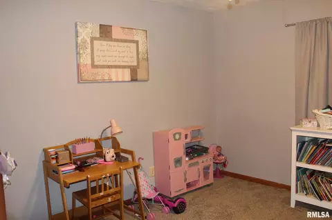 820 E Clark Trl, Herrin, IL 62948 photo 23