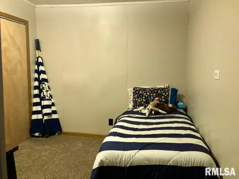 820 E Clark Trl, Herrin, IL 62948 photo 20