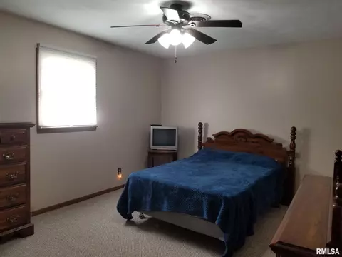 607 S Elm St, Sesser, IL 62884 photo 16