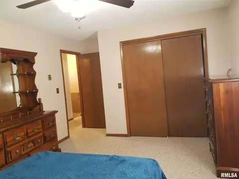 607 S Elm St, Sesser, IL 62884 photo 17