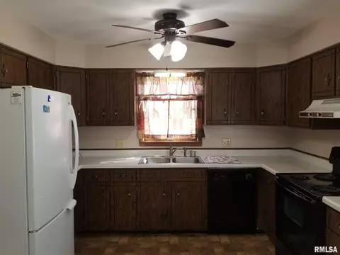 607 S Elm St, Sesser, IL 62884 photo 12
