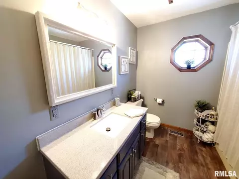 1167 Schwartz Rd, Centralia, IL 62801 photo 39