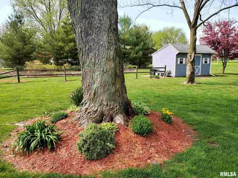 1167 Schwartz Rd, Centralia, IL 62801 photo 13