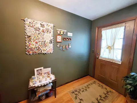 1167 Schwartz Rd, Centralia, IL 62801 photo 33