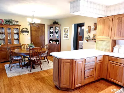 1167 Schwartz Rd, Centralia, IL 62801 photo 20
