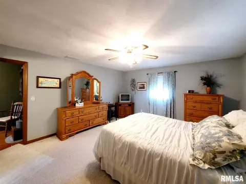 1167 Schwartz Rd, Centralia, IL 62801 photo 30